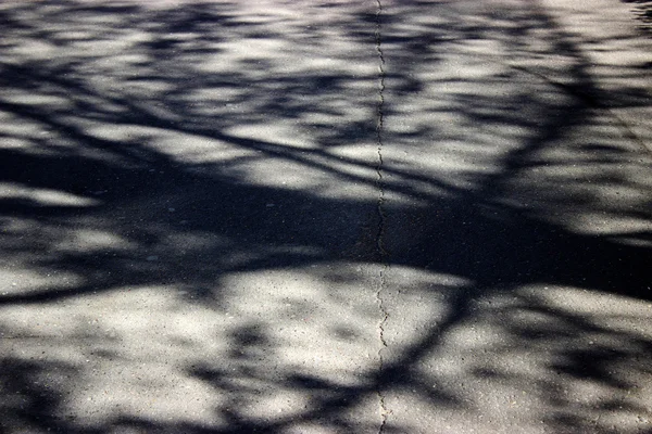Fundo raios de sombra cair sobre o asfalto seco áspero — Fotografia de Stock