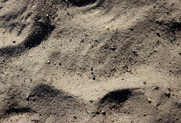 Fundo abstrato areia seca bege limpa — Fotografia de Stock