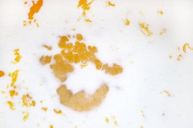 Arka plan beyaz süt kırık yumurta ilave edin