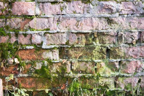 粗糙的石头背景旧砖壁青苔 — 图库照片