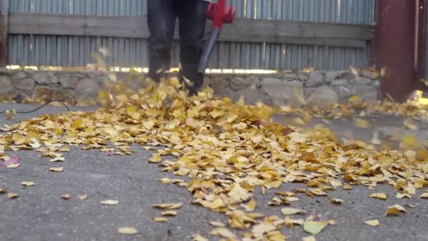 Een man blaast gevallen bladeren in de tuin af met een blazer. Russische werf — Stockvideo