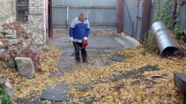 Adamın biri bahçedeki yaprakları üfleme makinesiyle uçuruyor. Rus bahçesi