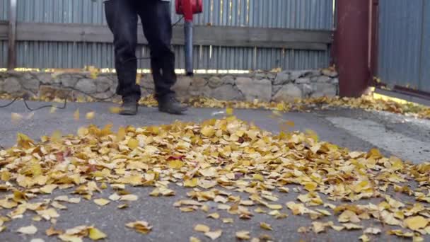 Um homem explode folhas caídas no quintal com um ventilador. Estaleiro russo — Vídeo de Stock