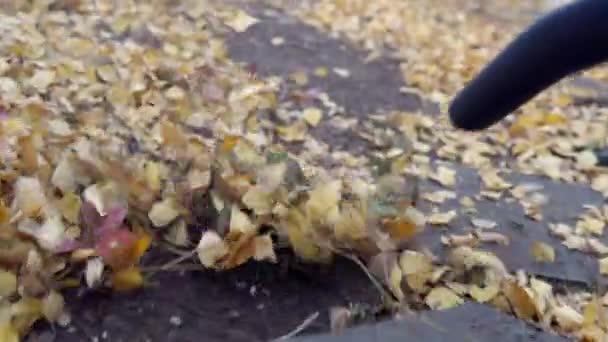 Zblízka fouká foukací pistole padající listí na ruském nádvoří — Stock video