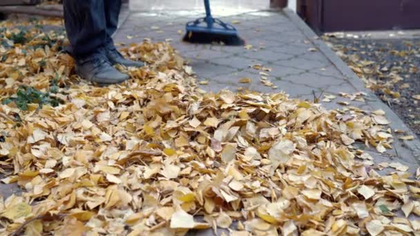 Un hombre está barriendo un camino de hojas caídas en su patio. Otoño en el patio ruso — Vídeos de Stock