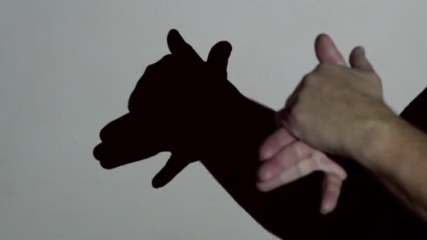 Las manos masculinas hacen una sombra de perro bajo la iluminación del proyector. Teatro de entretenimiento para niños pequeños — Vídeo de stock