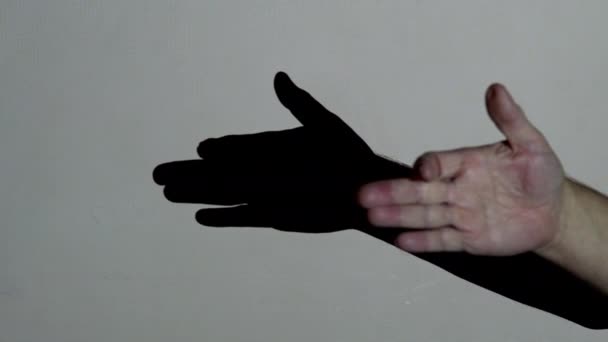 Las manos masculinas hacen una sombra de perro bajo la iluminación del proyector. Teatro de entretenimiento para niños pequeños — Vídeo de stock