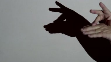 Erkek eller, projektörün altında keçinin gölgesini oluşturuyor. Küçük çocuklar için eğlence salonu.