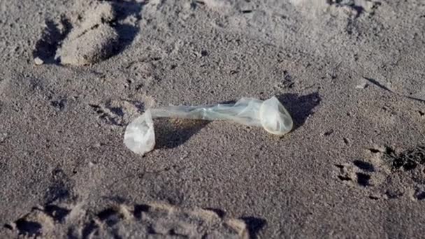 Um voluntário enluvado recolhe um preservativo usado de uma costa arenosa. Poluição ambiental — Vídeo de Stock
