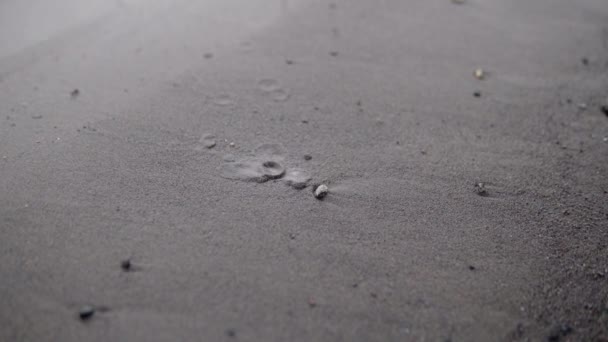 Gros plan sur les chutes de sable mouillé sur la rive de la rivière créant différentes formes — Video