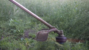 Çim biçme makinesi çimenleri kesiyor. 4