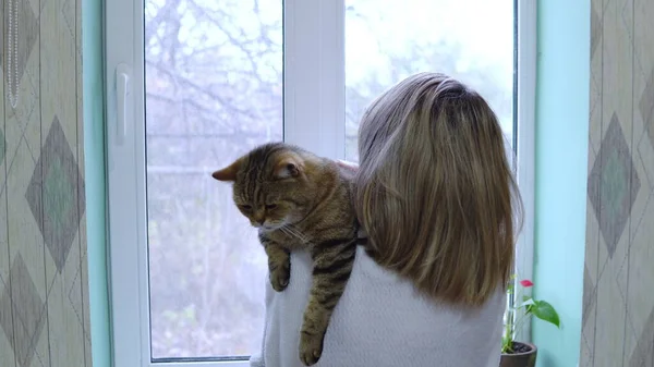 Sabahlık Giymiş Kollarında Kedisi Olan Bir Kadın Pencerenin Önünde Duruyor — Stok fotoğraf