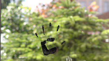 Siyah boyalı camda yetişkin bir avuç içi izi var.