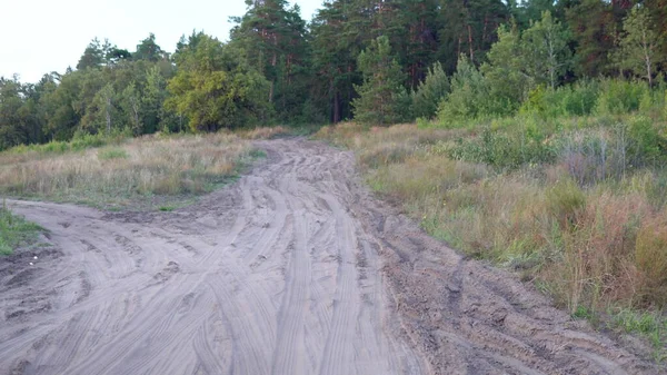 Climbing a dirt road towards the forest 4k