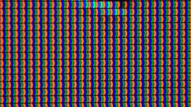 Pixels de trabalho no monitor, TV, com uma reprodução de vídeo close-up — Vídeo de Stock