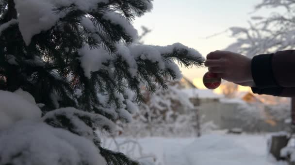 Musim dingin di Rusia. Sebuah pohon Natal tertutup dengan salju berdiri di luar ruangan dan seorang pria menggantung mainan pohon Natal di atasnya — Stok Video