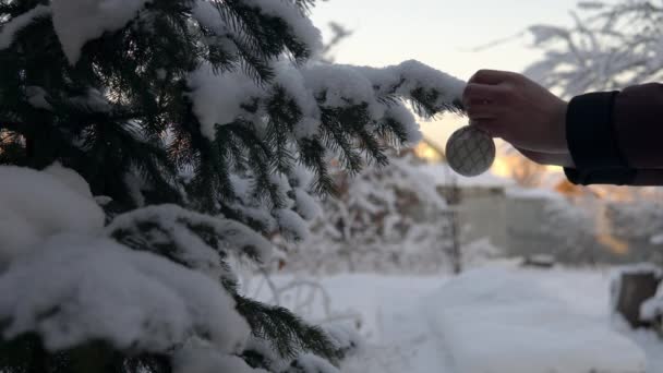 ロシアの冬。雪に覆われたクリスマスツリーが屋外に立ち、男はそれにクリスマスツリーのおもちゃを掛けます — ストック動画