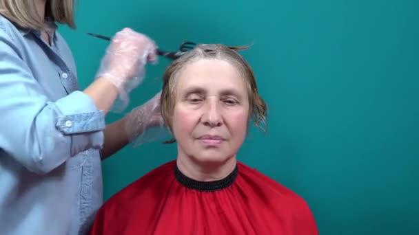 Die Stylistin färbt die Haare der Frauen mit einem speziellen Pinsel. Haarfärbung zu Hause — Stockvideo