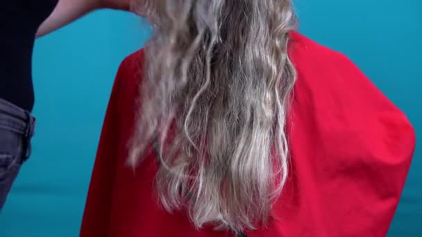 Vrouw in salon kapper kammen haar voor het snijden — Stockvideo