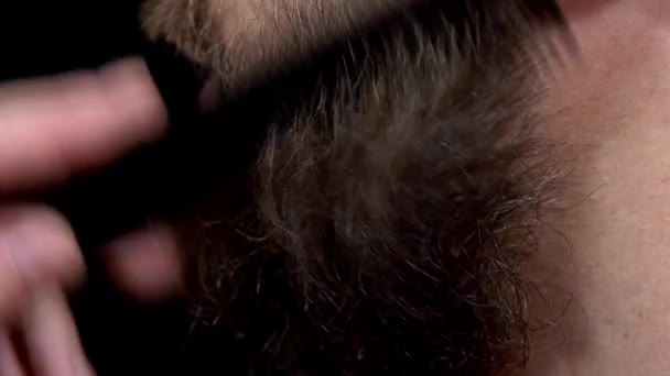 Close-up de um homem com uma barba penteando sua barba com um pente em um fundo preto — Vídeo de Stock
