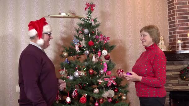 Hombre y mujer adultos decoran el árbol de Navidad. Preparación para las vacaciones de Año Nuevo — Vídeo de stock
