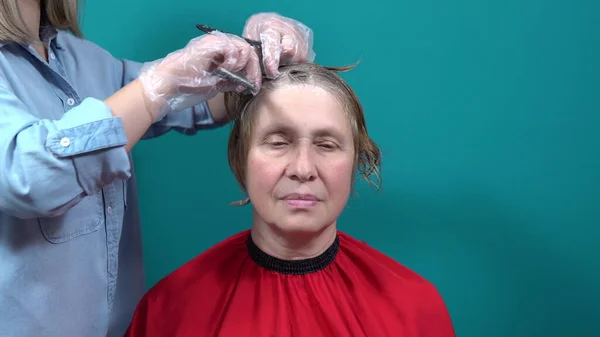 Estilista Tiñe Cabello Mujer Con Cepillo Especial Colorante Para Cabello — Foto de Stock