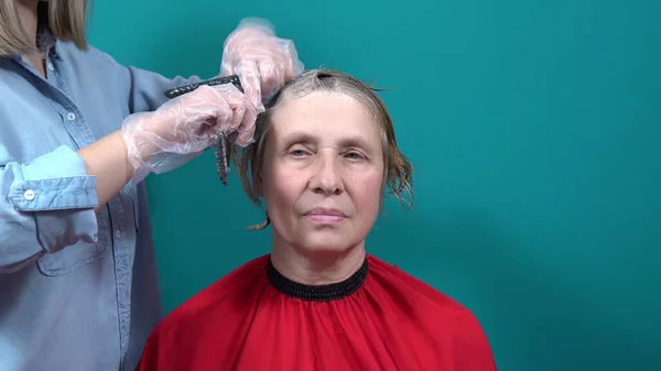Estilista Pinta Cabelo Mulher Com Uma Escova Especial Coloração Cabelo — Fotografia de Stock