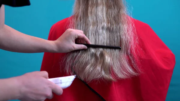 Para Uma Mulher Salão Cabeleireiro Encurta Comprimento Seu Cabelo — Fotografia de Stock