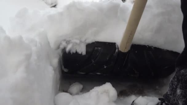 Gros plan d'une pelle, un homme nettoie la neige avec une pelle dans sa cour. L'hiver en Russie a couvert la cour de neige — Video