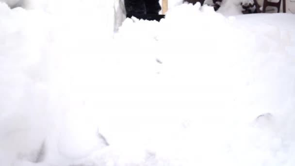 Zbliżenie łopaty, człowiek czyści śnieg łopatą w ogródku. Zima w Rosji pokryła podwórze śniegiem — Wideo stockowe