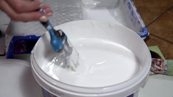 O pincel é mergulhado em um balde de tinta branca. Home reparar-se — Vídeo de Stock