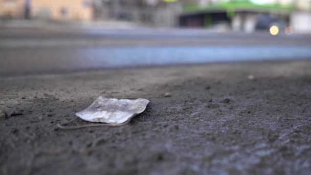 A dirty surgical mask lies in the mud by the road against the background of passing cars — Stock Video