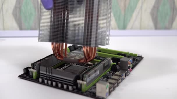 O reparador instala o dissipador de calor do processador principal. Home PC Manutenção e atualizações — Vídeo de Stock