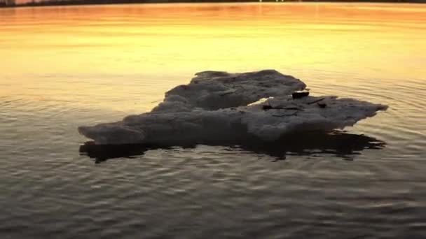 Un morceau de glace non fondue se trouve dans la rivière près du rivage sur fond de coucher de soleil — Video