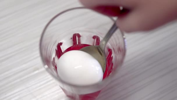 Immergi un uovo di pollo bianco in un bicchiere di vernice rossa — Video Stock