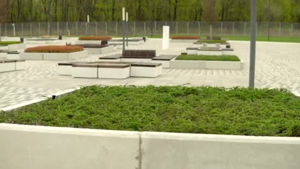 Camas de flores verdes no parque. Belos jardins da cidade — Vídeo de Stock