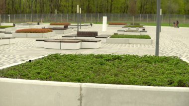 Parktaki yeşil çiçek yatakları. Güzel şehir bahçeleri