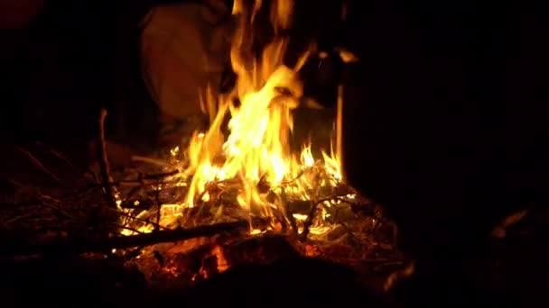 Nachtvreugdevuur. Mensen zitten in het donker bij het vuur en warmen zich op. Kamperen bij het vuur 4k — Stockvideo