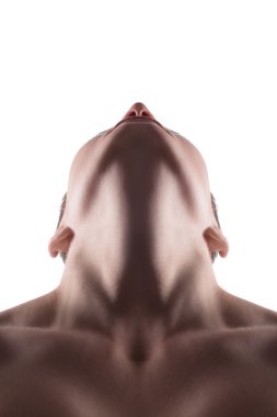 İnsan boyun, ön taraftan gösterilen. Tilt arkasına başıdır