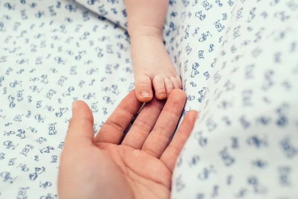 엄마 손바닥 손가락 그녀의 신생 아들의 다리를 만지고 아이 담요에 누워 — 스톡 사진