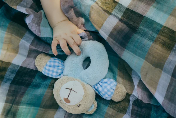 Mano de niño pequeño toque el sonajero oso de peluche Imágenes De Stock Sin Royalties Gratis