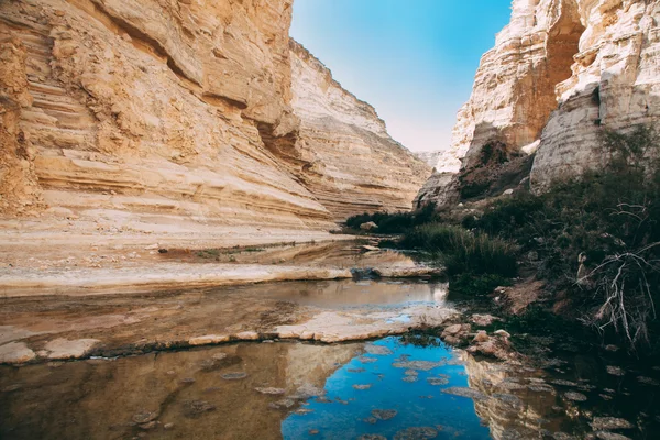 Ein Ovdat, Negev Çölü İsrail bir kanyonda