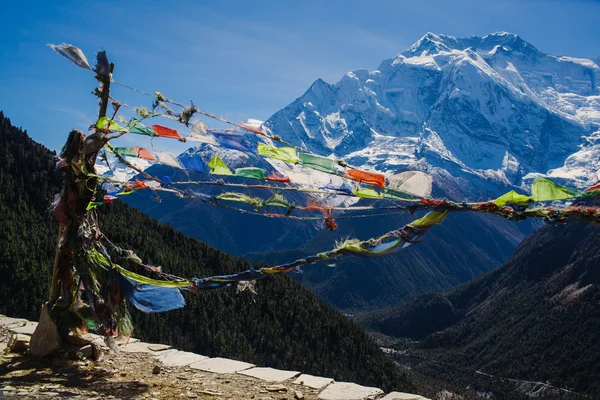 Budistler mantra bayrakları, akciğer denilen-ta Himalaya Dağları'nda — Stok fotoğraf