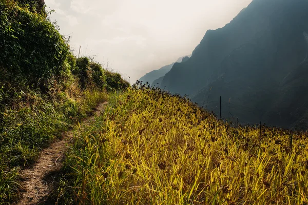 アンナプルナ山へトレッキングのパス上の美しい景色 — ストック写真