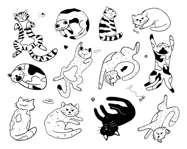 Coleção Gatos Doodle Bonito Pacote Diverso Engraçado Animais Estimação Desenhados —  Vetores de Stock
