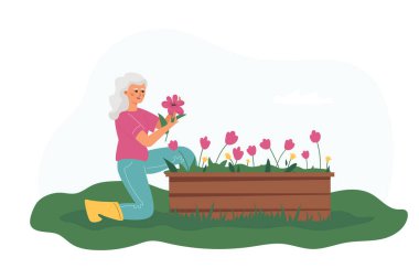 A happy elderly woman growing flowers. Retirement hobby and leisure.