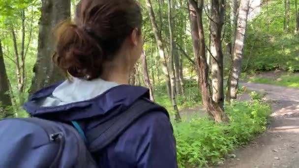 Young Woman Hiking in the Mountains, Steadicam — Stock Video