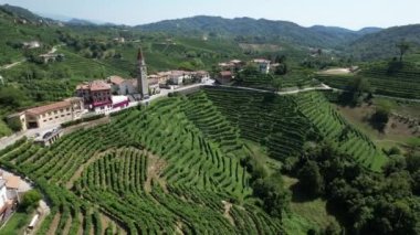 Yazın İtalyan üzüm bağları, Prosecco köyünde, Sersemletici Hava Manzarası