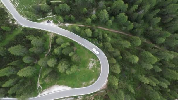 A Camper mozgó az úton, az erdőben, légi felülnézetből — Stock videók