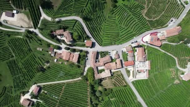 Olasz szőlőültetvények nyáron, a falu Prosecco, lenyűgöző légi kilátás — Stock videók